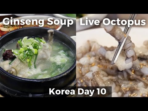 Live Octopus Restaurant - Seafood in Seoul
