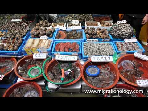 Noryangjin Fish Market - Seafood in Seoul